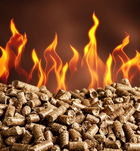 Wood Fuel Pellets – Product Categories - Grilling/Fuel – American Wood Fibers