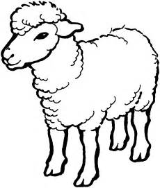 Free Printable Sheep Coloring Pages For Kids