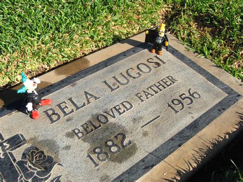 Bela Lugosi's dead | Bela Lugosi is buried in a cemetery nea… | Flickr