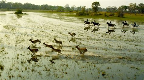 Botswana’s Okavango Delta – Flood Report 2020 – rideworldwide1