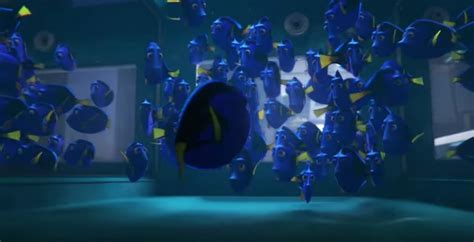 All the feelings we had during the new “Finding Dory” TV spot - HelloGigglesHelloGiggles