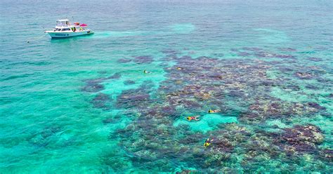 These 5 Snorkeling Tours Across Florida's Crystal-Clear Waters Will Elevate Your Summer