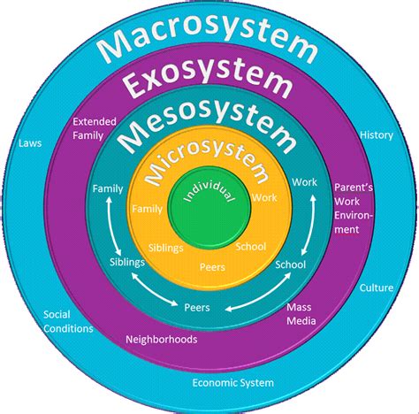 Bronfenbrenner's Ecological Model of Development | Social work theories, Social learning theory ...