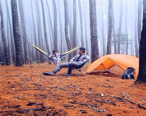 Mataikan: HUTAN PINUS IMOGIRI