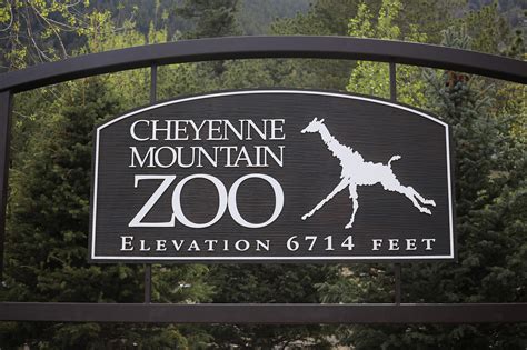 Cheyenne Mountain Zoo » The Way We Did It