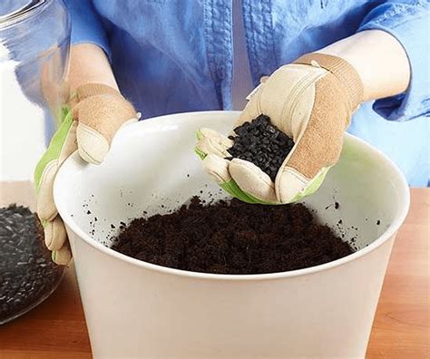 How to Make Your Own Succulent Potting Soil - The garden!