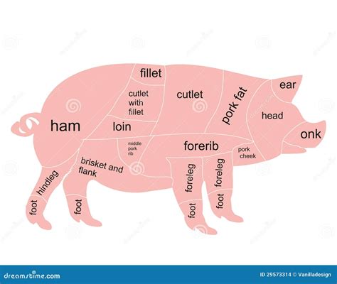 Vector Pork Chart Stock Images - Image: 29573314