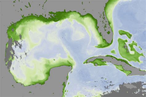 gulf of mexico | NOAA Climate.gov