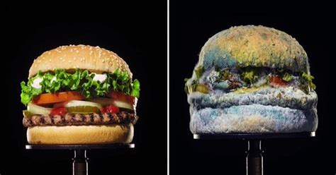 Burger King Features A Rotting Whopper in Bizarre Ad Campaign - Eww ...