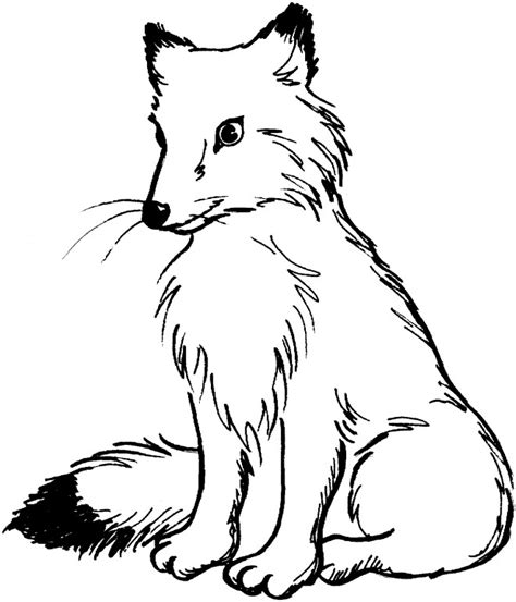 Coloriage Renard Roux dessin gratuit à imprimer