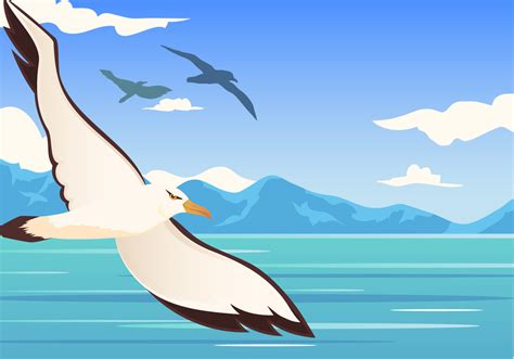 Albatross Bird Flying 159416 Vector Art at Vecteezy