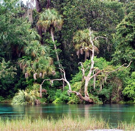 Looking for things to do in Florida? These Florida state parks are a must for those who love the ...