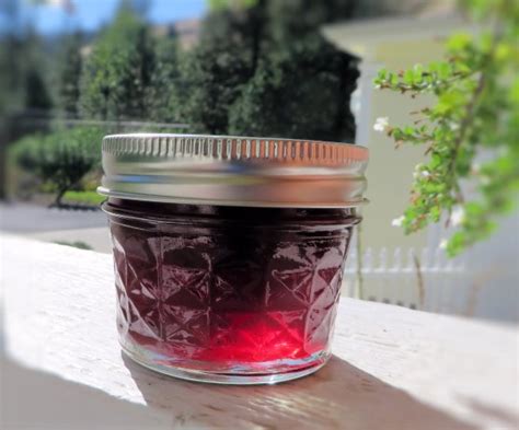 Elderberry Jelly Recipe - Food.com