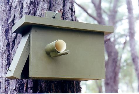 STRIATED PARDALOTE NEST BOXES