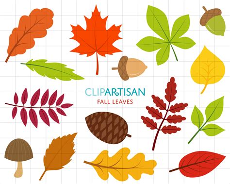 Watercolor Autumn Leaves Clipart Set Fall Leaf PNG On, 43% OFF