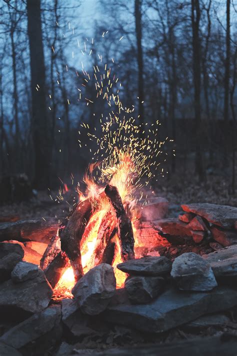 Fire, campfire, flame, forest and wood HD photo by Timothy Meinberg ...