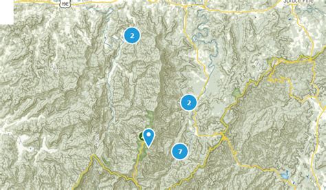 Best Camping Trails in Mount Mitchell State Park | AllTrails