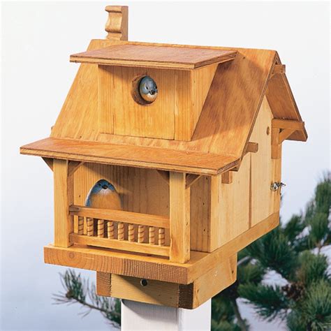 Build a Backyard Birdhouse (DIY) | Family Handyman