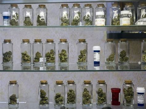 Michigan medical marijuana dispensary bills not dead, but not going ...