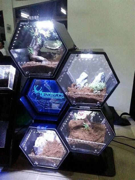 Hexagon tarantula enclosures...creepy but the containers would be cool ...