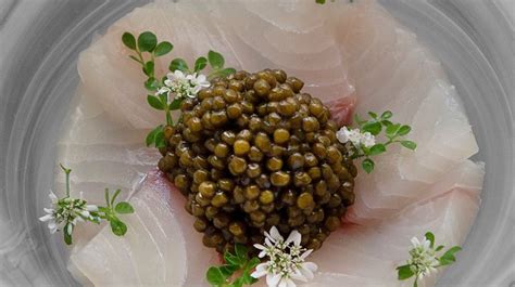 Exploring the Top Health Benefits of Caviar - Caspy Caviar