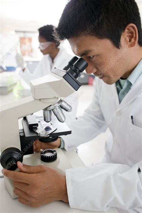 Biologists - Stock Image - F003/3995 - Science Photo Library