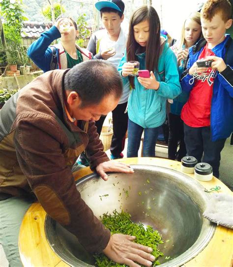 Hangzhou Tea Plantation, Visit Longjing Tea Plantation