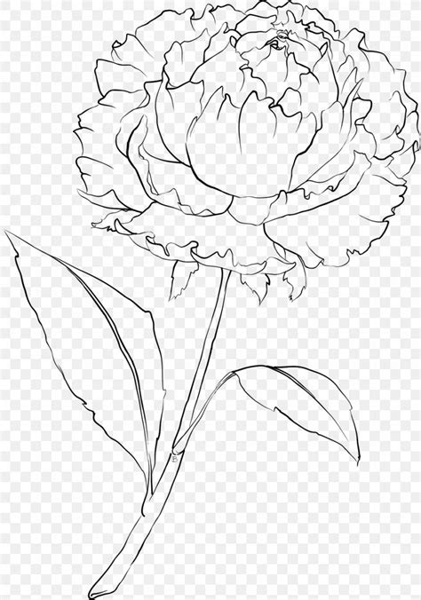 Carnation Drawing Flower Line Art, PNG, 1121x1600px, Carnation, Art, Artificial Flower, Artwork ...