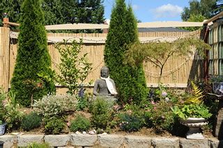 At the beginning of A Garden for the Buddha, first plantin… | Flickr