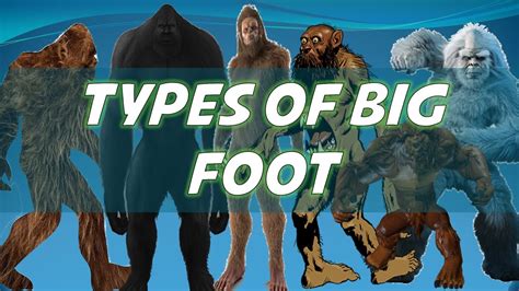 Types Of BigFoot | Explained - YouTube