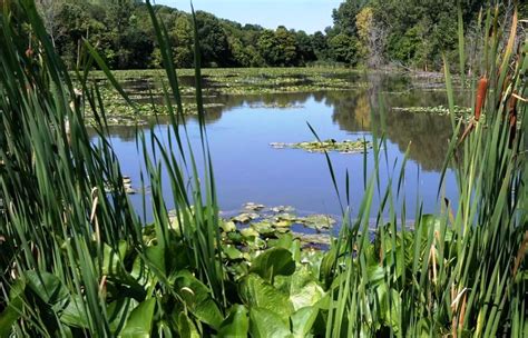 Hocking River Stream Restoration & Wetland | Lancaster, OH - Official ...