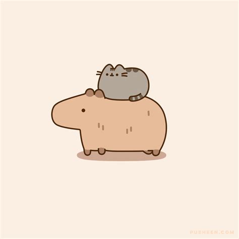 Image tagged with capybara, Pusheen, friends – @pusheen on Tumblr