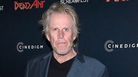 Gary Busey Allegedly Involved in California Hit-and-Run Accident | Entertainment Tonight