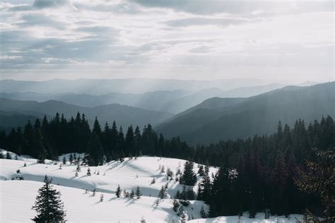 Hills and Forest in Winter · Free Stock Photo