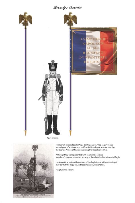 1815 - Imperial Eagle and Flag | Napoleonic wars, Napoleon, French army