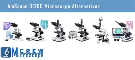 AmScope B120C Microscope Review - Microscope Crew