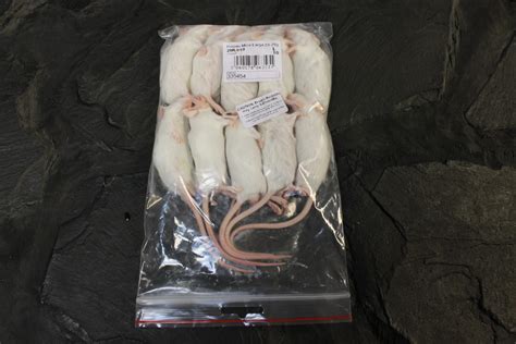 PLT Frozen XL Mice - 30g+ Pack of 10 | Evolution Reptiles