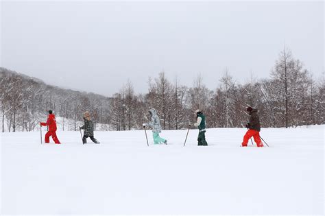 Winter Activities | Niseko United