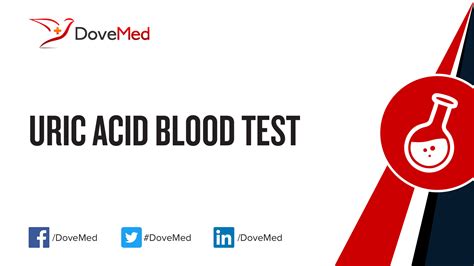 Uric Acid Blood Test