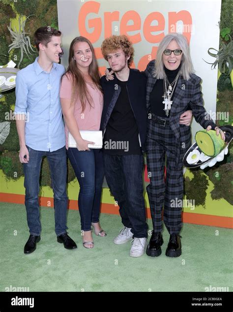 LOS ANGELES - NOV 3: Diane Keaton, Family at the "Green Eggs and Ham ...