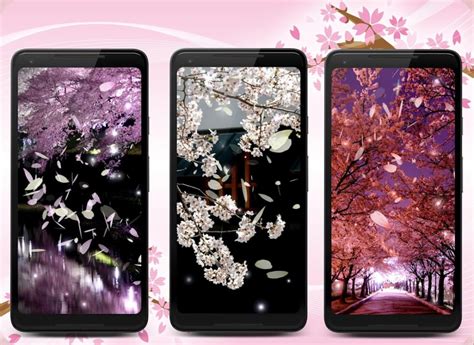 Sakura Live Wallpaper APK for Android - Download