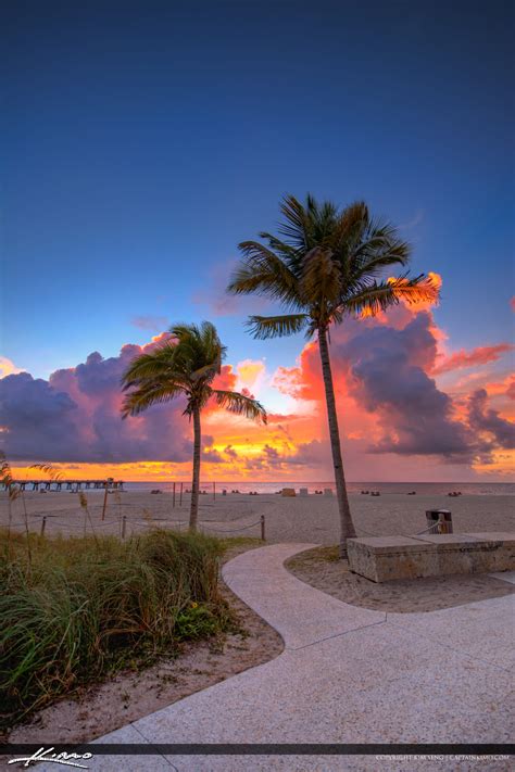 Coconut Tree Sunrise Pompano Beach Pier | HDR Photography by Captain Kimo