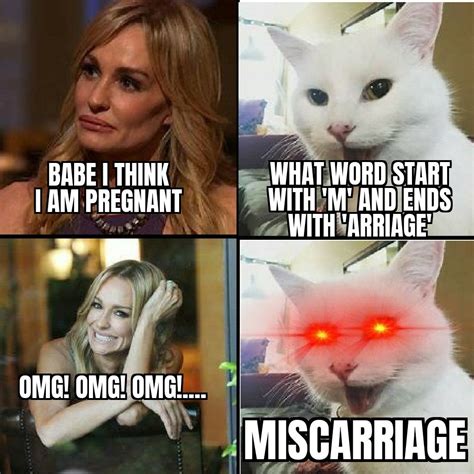 Funny cat meme : r/terriblefacebookmemes