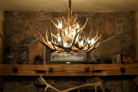 Whitetail Deer Antler Chandeliers