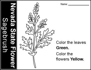 COLORING PAGE - Nevada State Flower by Fabulous Vegas Firsties | TPT