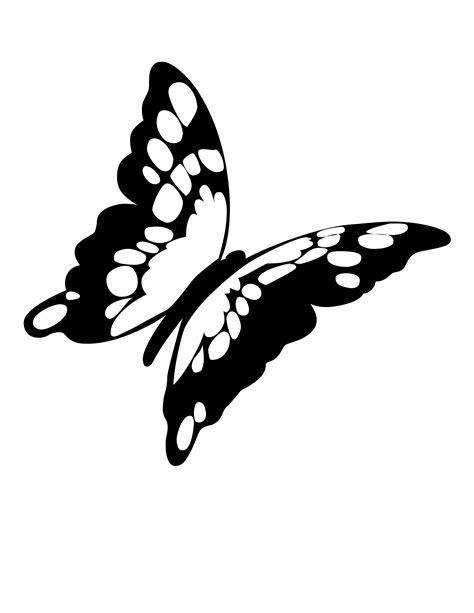 Black And White Butterfly Drawing at GetDrawings | Free download