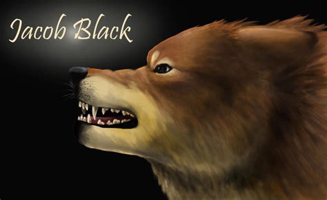 Jacob Black as a werewolf by heatrailshade on DeviantArt