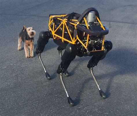 See Spot Run — Dog vs. Robot | The robot's lifelike movement… | Flickr