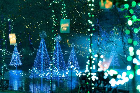 Water World Christmas Lights