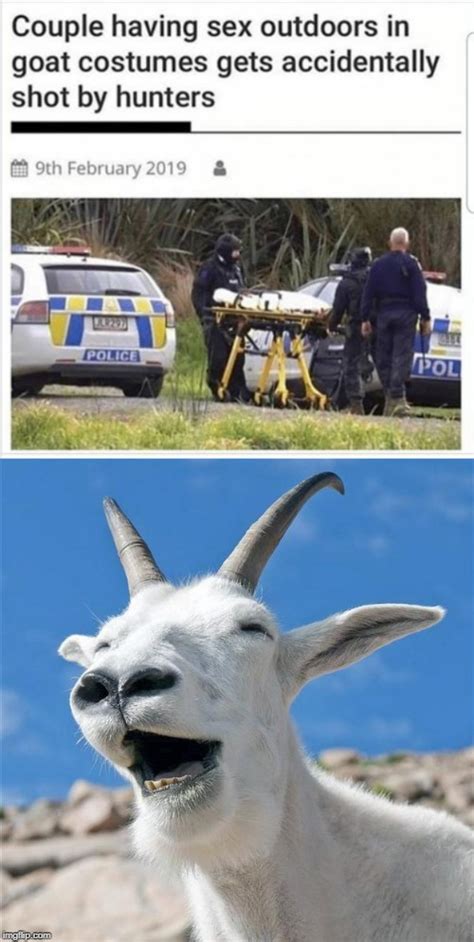 Goat Laughing Meme